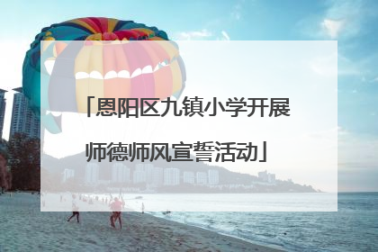 恩阳区九镇小学开展师德师风宣誓活动