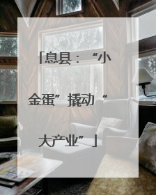 息县：“小金蛋”撬动“大产业”