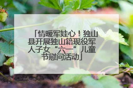 情暖军娃心！独山县开展独山籍现役军人子女“六一”儿童节慰问活动
