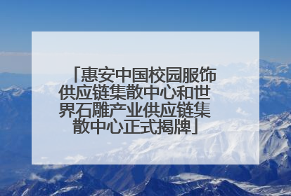 惠安中国校园服饰供应链集散中心和世界石雕产业供应链集散中心正式揭牌