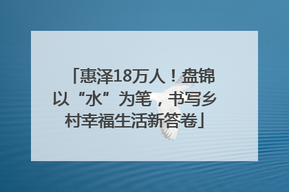 惠泽18万人！盘锦以“水”为笔，书写乡村幸福生活新答卷