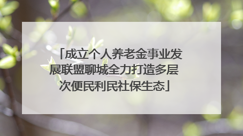 成立个人养老金事业发展联盟聊城全力打造多层次便民利民社保生态