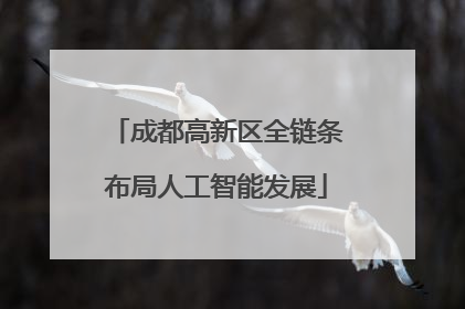成都高新区全链条布局人工智能发展