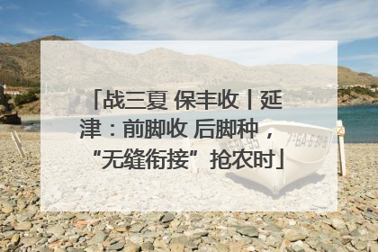 战三夏 保丰收丨延津：前脚收 后脚种，“无缝衔接”抢农时