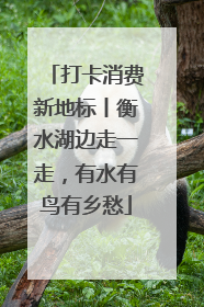 打卡消费新地标丨衡水湖边走一走，有水有鸟有乡愁