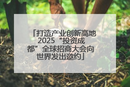 打造产业创新高地 2025“投资成都”全球招商大会向世界发出邀约