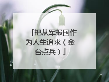 把从军报国作为人生追求（金台点兵）
