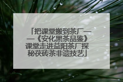 把课堂搬到茶厂——《安化黑茶品鉴》课堂走进益阳茶厂探秘茯砖茶非遗技艺