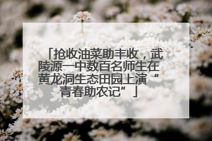 抢收油菜助丰收，武陵源一中数百名师生在黄龙洞生态田园上演“青春助农记”