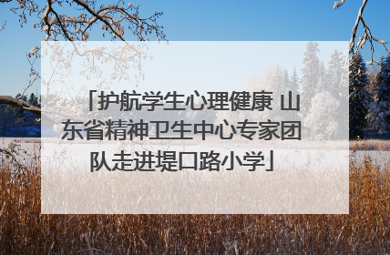 护航学生心理健康 山东省精神卫生中心专家团队走进堤口路小学