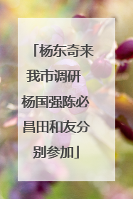 杨东奇来我市调研 杨国强陈必昌田和友分别参加