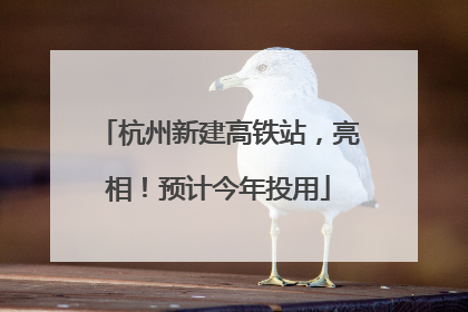 杭州新建高铁站，亮相！预计今年投用
