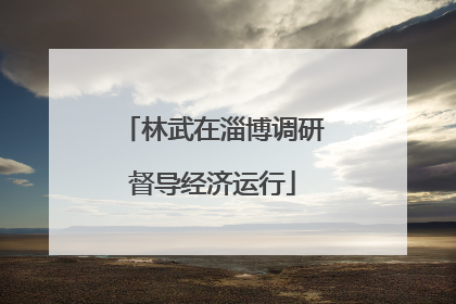 林武在淄博调研督导经济运行