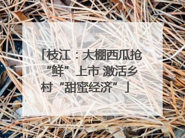 枝江：大棚西瓜抢“鲜”上市 激活乡村“甜蜜经济”