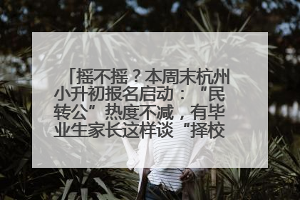 摇不摇？本周末杭州小升初报名启动：“民转公”热度不减，有毕业生家长这样谈“择校真相”……