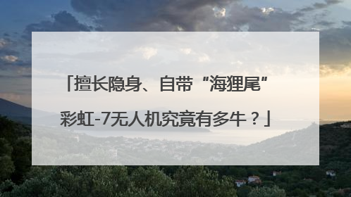 擅长隐身、自带“海狸尾” 彩虹-7无人机究竟有多牛？