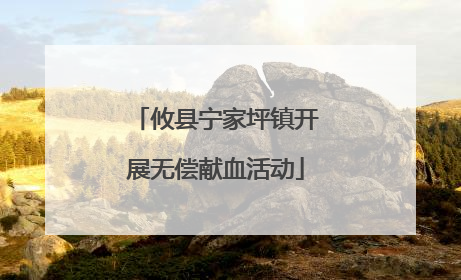 攸县宁家坪镇开展无偿献血活动