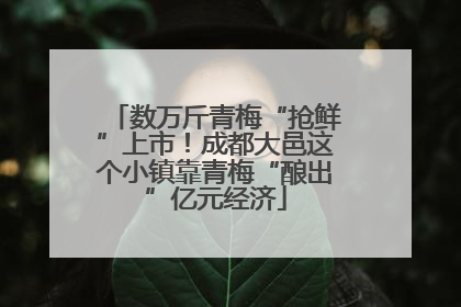 数万斤青梅“抢鲜”上市！成都大邑这个小镇靠青梅“酿出”亿元经济
