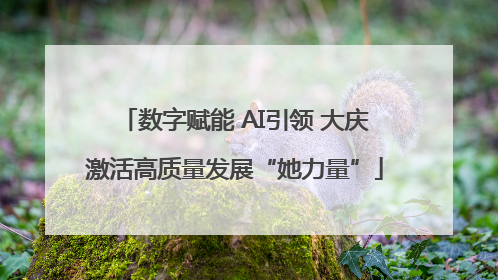 数字赋能 AI引领 大庆激活高质量发展“她力量”
