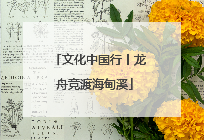 文化中国行丨龙舟竞渡海甸溪