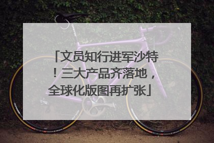 文员知行进军沙特！三大产品齐落地，全球化版图再扩张