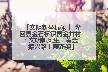 文明新坐标④丨 隆回县金石桥镇黄金井村：文明新风生“黄金” 振兴路上展新姿