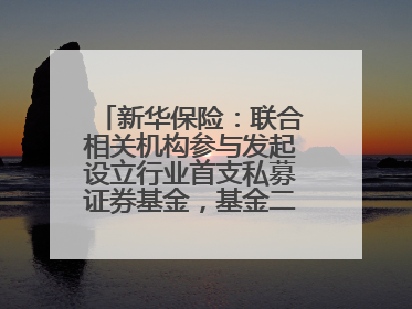 新华保险：联合相关机构参与发起设立行业首支私募证券基金，基金二期200亿元已募集完毕