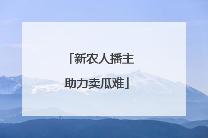 新农人播主 助力卖瓜难