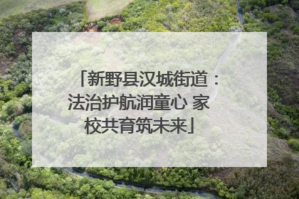 新野县汉城街道：法治护航润童心 家校共育筑未来