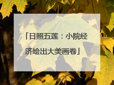 日照五莲：小院经济绘出大美画卷