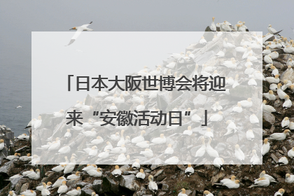 日本大阪世博会将迎来“安徽活动日”