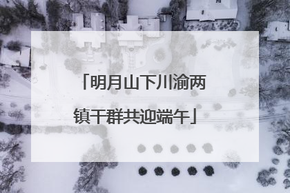 明月山下川渝两镇干群共迎端午