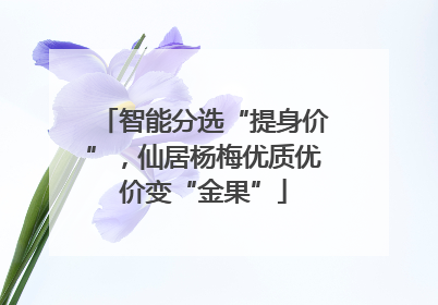 智能分选“提身价”，仙居杨梅优质优价变“金果”