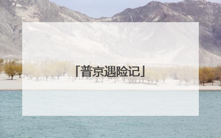 普京遇险记