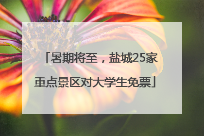 暑期将至，盐城25家重点景区对大学生免票
