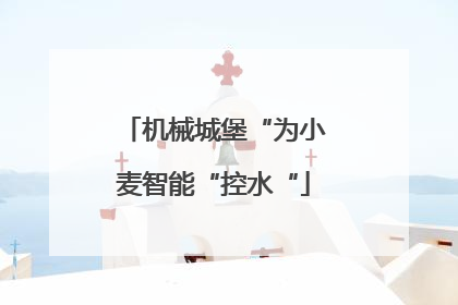 机械城堡“为小麦智能“控水“