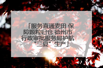 服务直通麦田 保障颗粒归仓 德州市行政审批服务局护航“三夏”生产