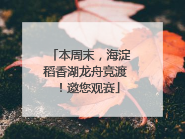 本周末，海淀稻香湖龙舟竞渡！邀您观赛