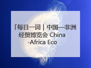 每日一词｜中国—非洲经贸博览会 China-Africa Economic and Trade Expo