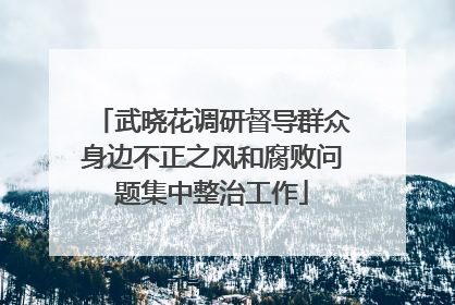 武晓花调研督导群众身边不正之风和腐败问题集中整治工作
