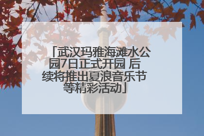 武汉玛雅海滩水公园7日正式开园 后续将推出夏浪音乐节等精彩活动