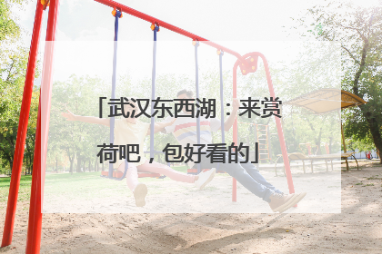 武汉东西湖：来赏荷吧，包好看的