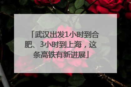 武汉出发1小时到合肥、3小时到上海，这条高铁有新进展