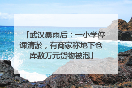 武汉暴雨后：一小学停课清淤，有商家称地下仓库数万元货物被泡
