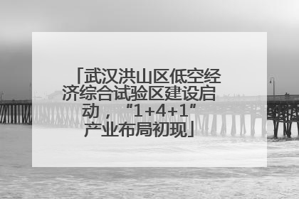 武汉洪山区低空经济综合试验区建设启动，“1+4+1”产业布局初现
