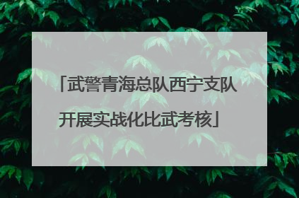 武警青海总队西宁支队开展实战化比武考核