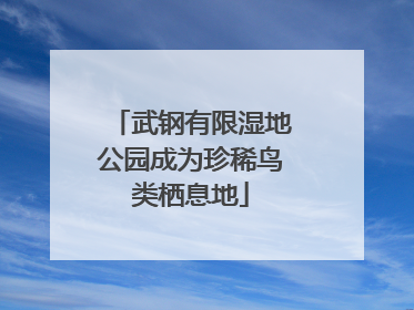 武钢有限湿地公园成为珍稀鸟类栖息地