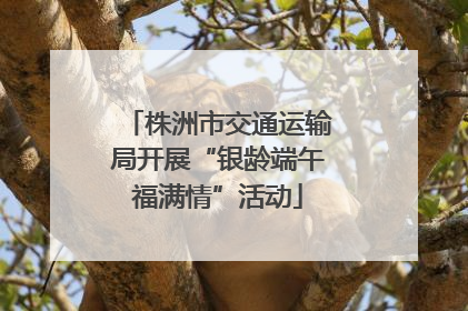 株洲市交通运输局开展“银龄端午福满情”活动