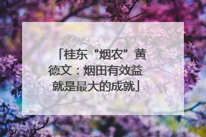 桂东“烟农”黄德文：烟田有效益就是最大的成就