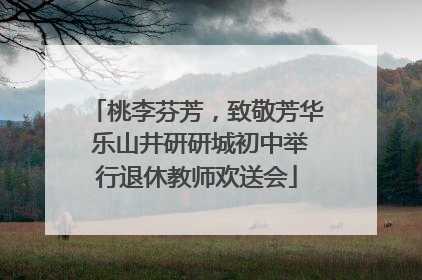 桃李芬芳，致敬芳华 乐山井研研城初中举行退休教师欢送会